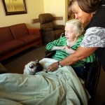 All of our homes are pet friendly.