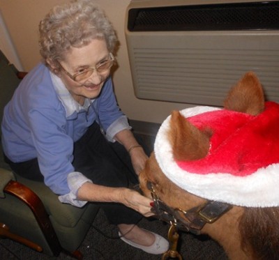 EHL Residents loved Buddy visiting in the Homes
